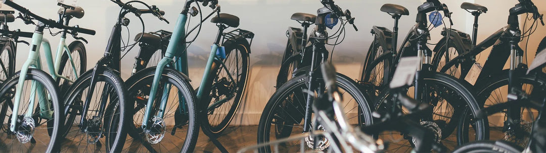 What Rental Bike Is Best For Me?