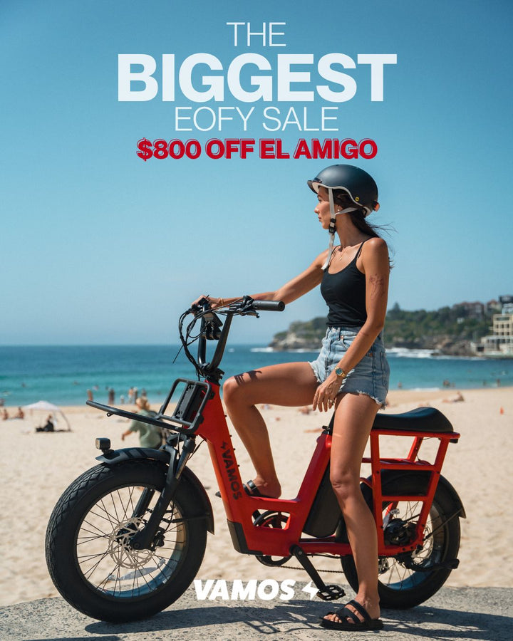VAMOS - El Amigo 2025