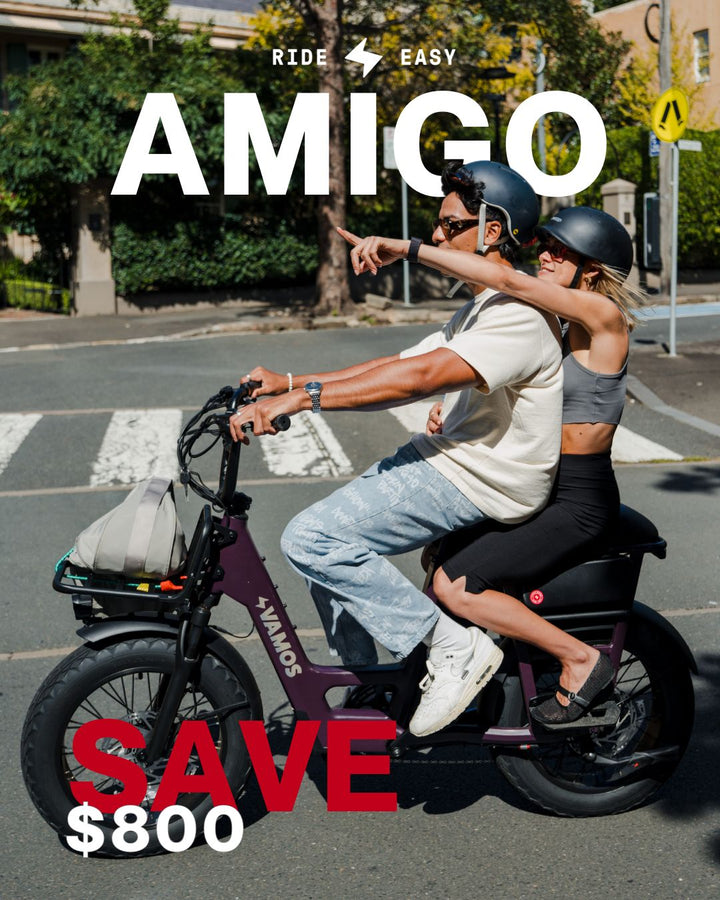 VAMOS - El Amigo 2025