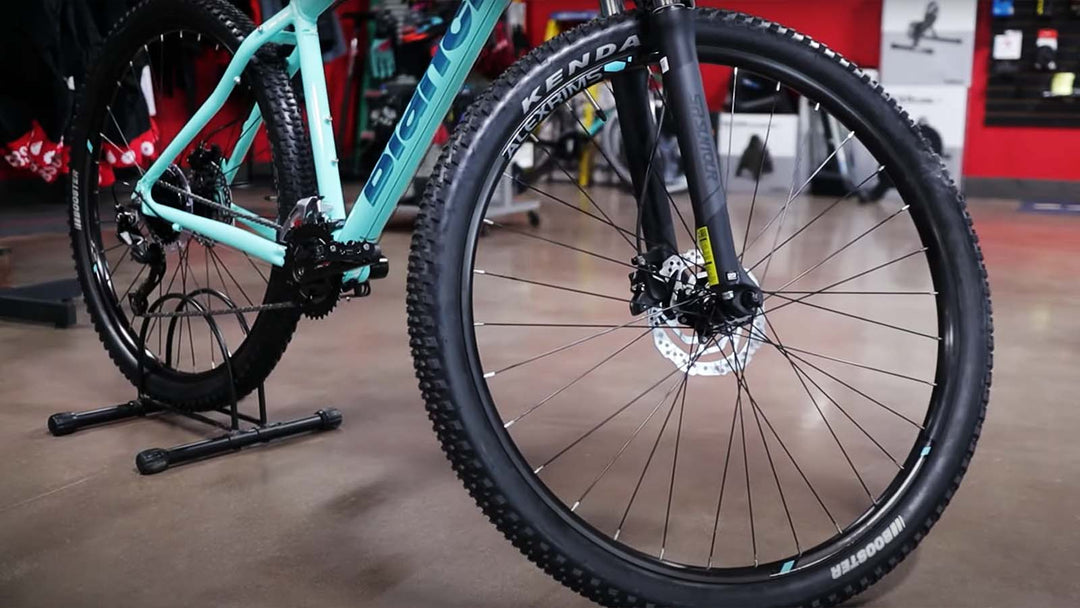bianchi duel alvio