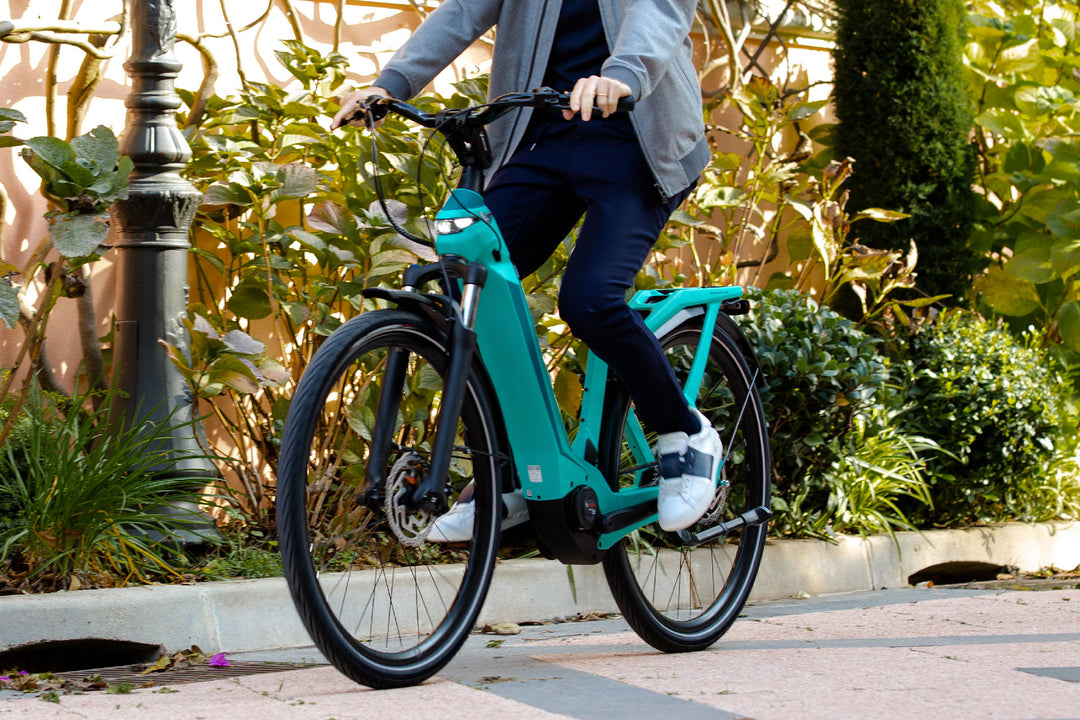 BIANCHI e-omnia C-Type Nexus 5 speed StepThru - freedommachine