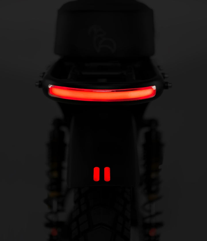 DIRODI Rover Pro - freedommachine