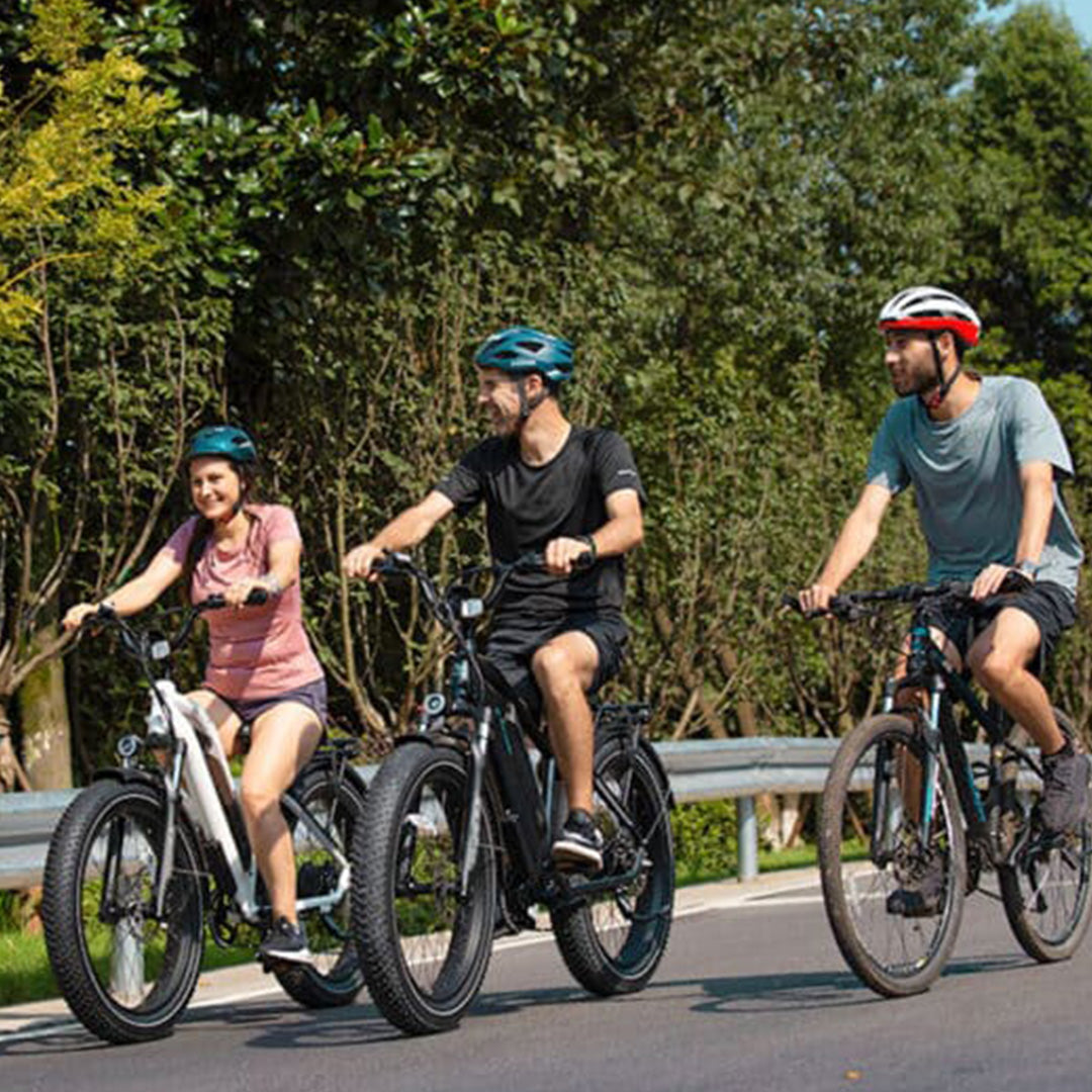 DIRODI VIVO CRUISER ALL TERRAIN FAT TIRE ELECTRIC BIKES - freedommachine