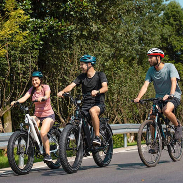 DIRODI VIVO CRUISER ALL TERRAIN FAT TIRE ELECTRIC BIKES - freedommachine