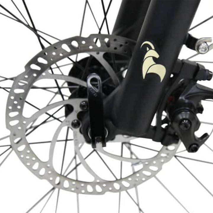 DIRODI VIVO CRUISER ALL TERRAIN FAT TIRE ELECTRIC BIKES - freedommachine