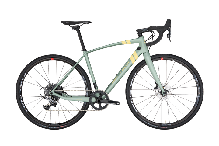 EDDY MERCKX STRASBOURG71 GRAVEL CAMPAGNOLO EKAR 13 SPEED - freedommachine