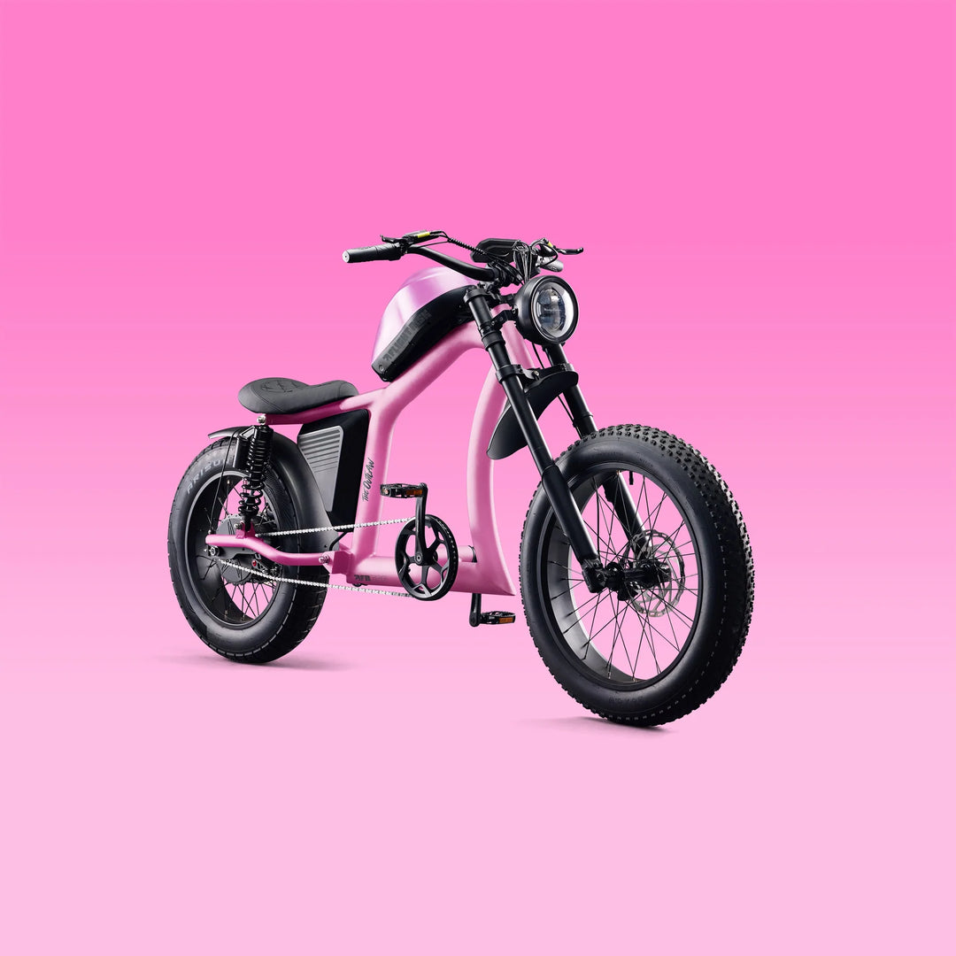 freedom machine australia flight risk fr666  ebike fattyre