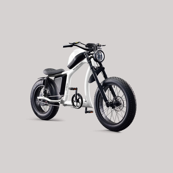 freedom machine australia flight risk fr666  ebike fattyre