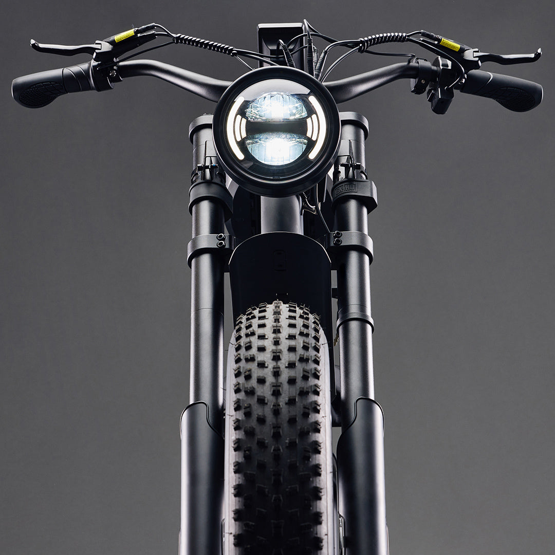 freedom machine australia flight risk fr666  ebike fattyre