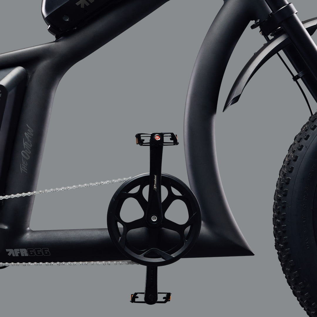 Pedal assisted tough e-bike from Flight Risk - FR666