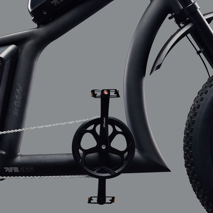 Pedal assisted tough e-bike from Flight Risk - FR666