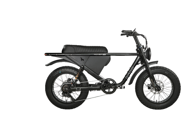 DIRODI Rover Pro