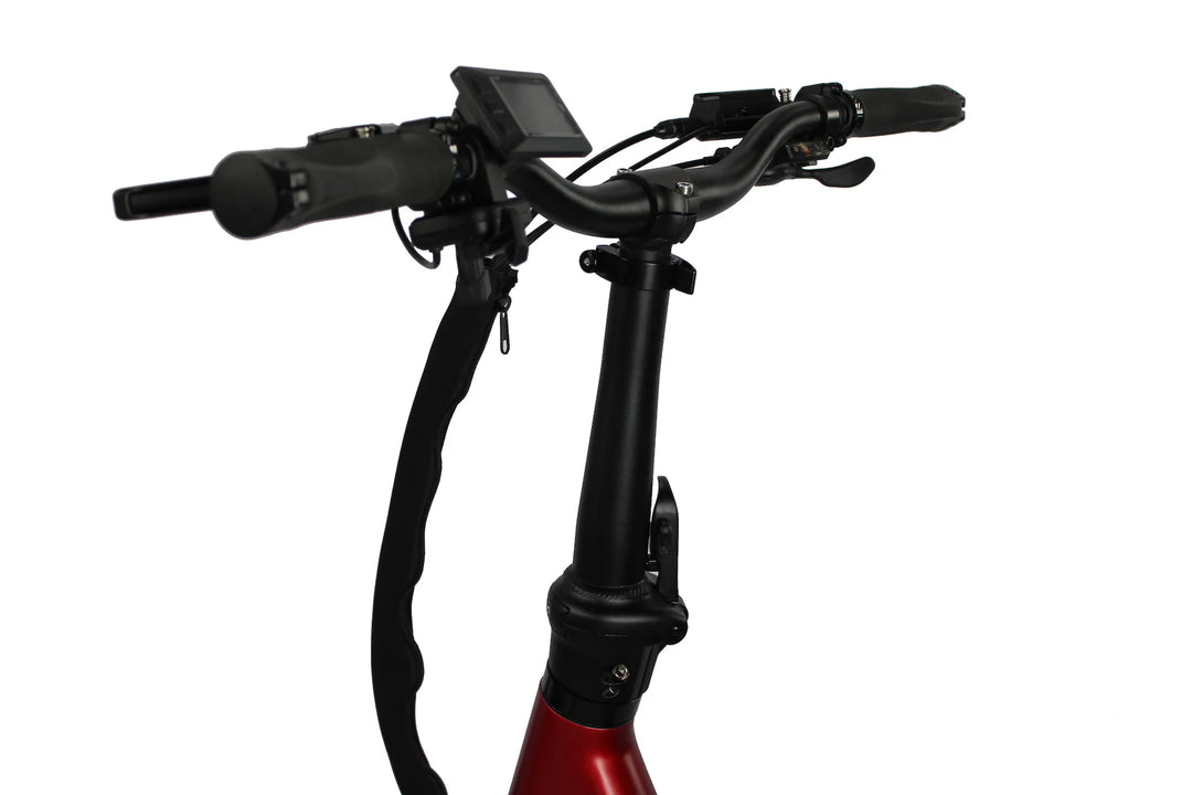 Vamos - Papa Grande Pro 2025 - freedommachine