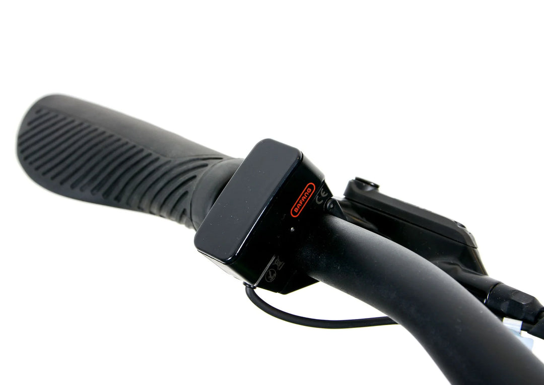 swiss EBCO Street 2U Compact eBike
