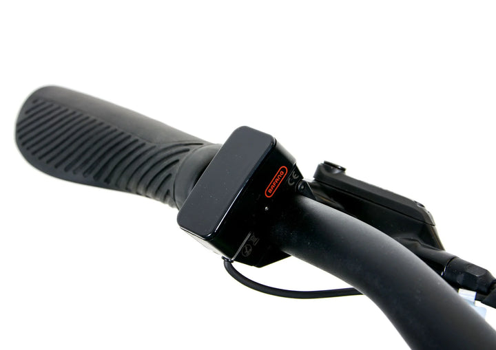 swiss EBCO Street 2U Compact eBike
