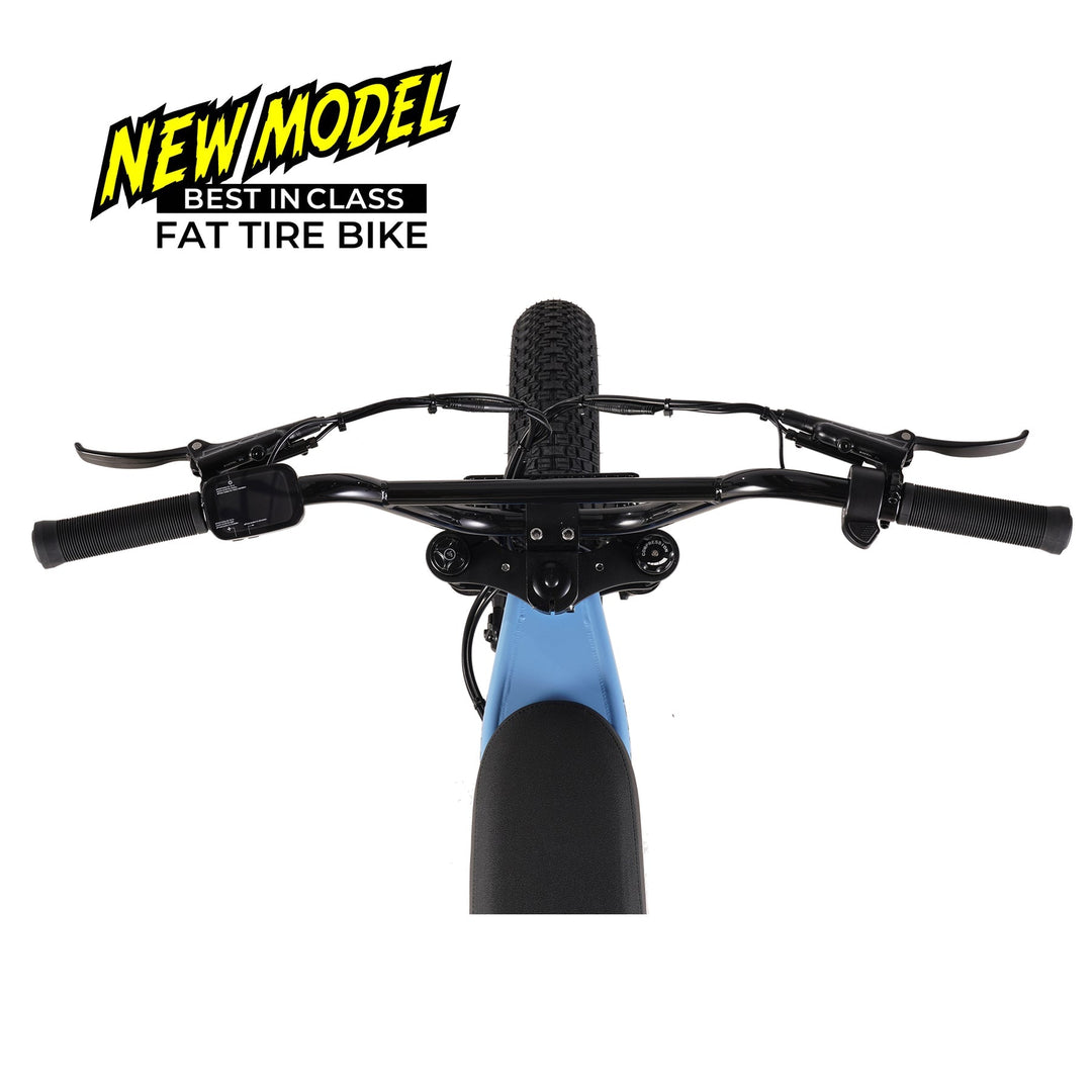 ZOOPER Blued top view
