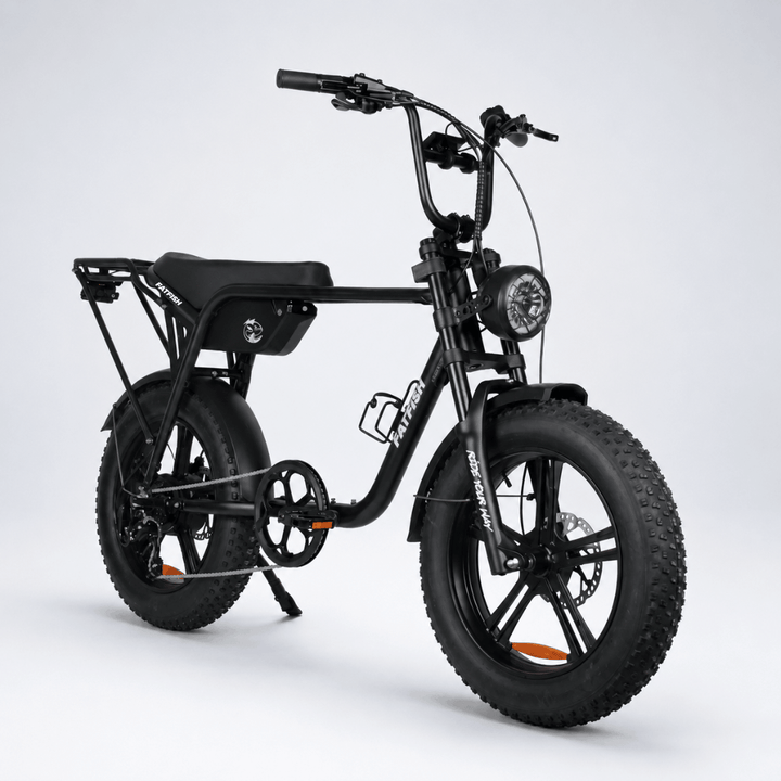 Fatfish Biggie Fat Tyre E-Bike – manufacturer product photograph