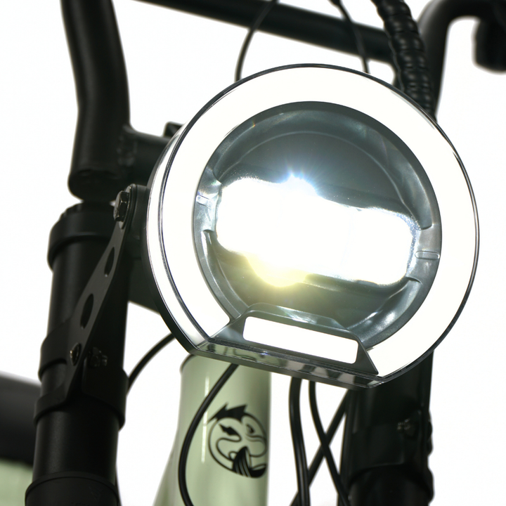 Fatfish Vice Fat Tyre E-Bike