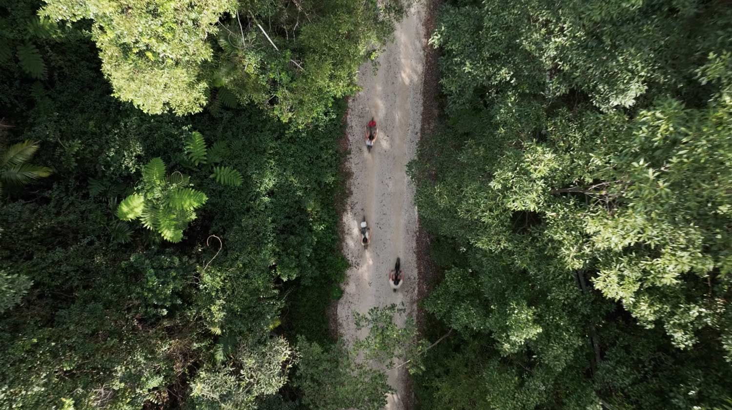 Northern Rivers rail trail bike hire from Murwillumbah or Byron Bay