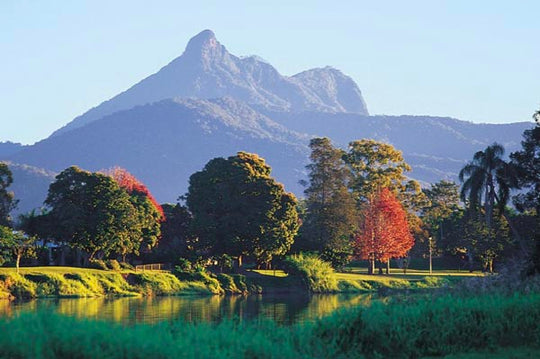 Everything You Need To Know About The Northern Rivers Rail Trail ...