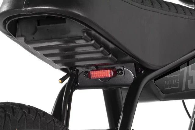 ZOOZ Ultra Urban 750W Crow Black - freedommachine